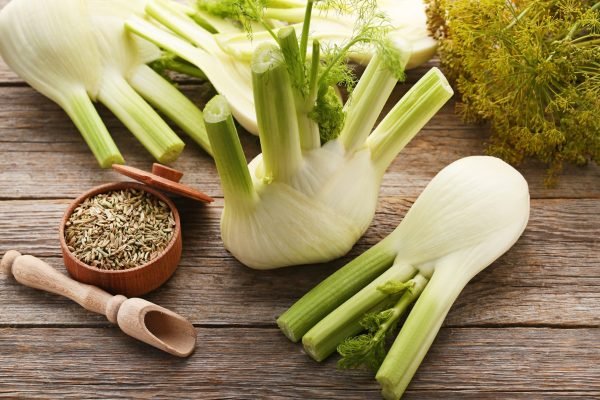 Fennel Materia Medica