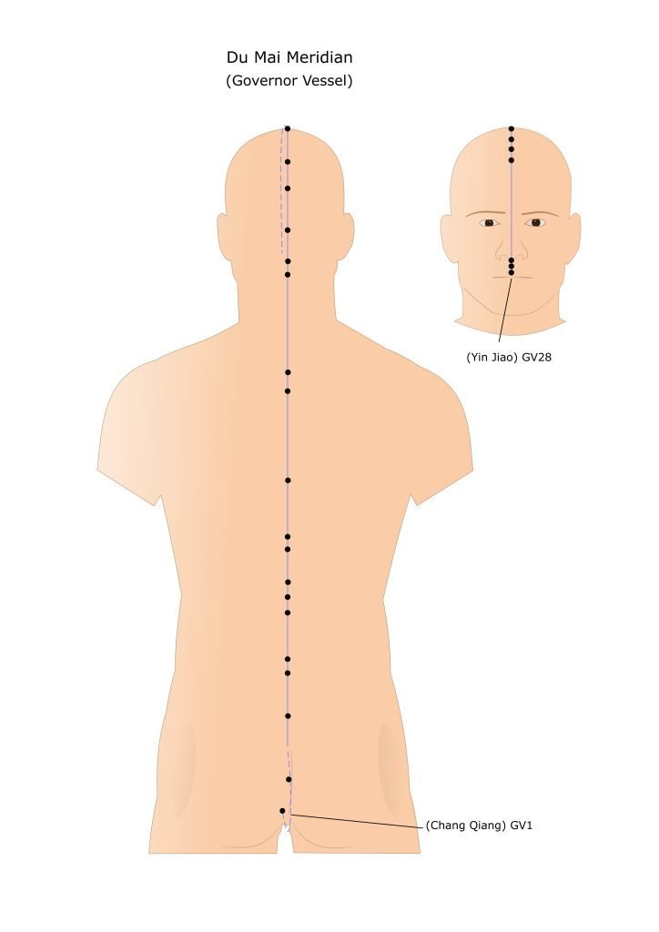 Governing Vessel Meridien Diagram