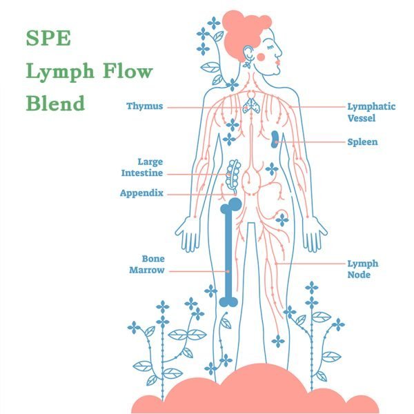 SPE Lymph-Flow Blend