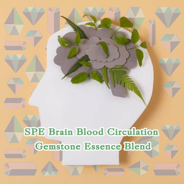 SPE Brain Blood Circulation Gemstone Essence Blend