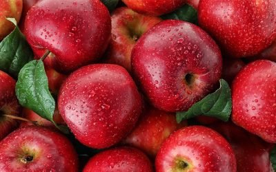 The Apple: Humble, Life-Extending, Super-Fruit