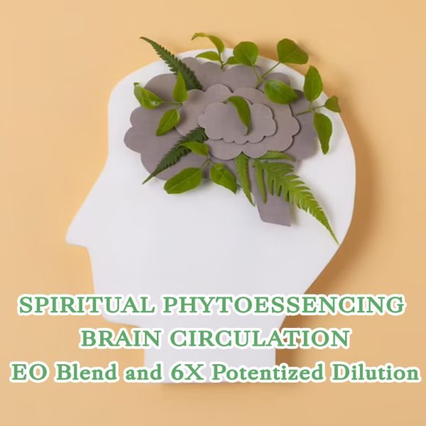 SPE Brain Circulation Blend