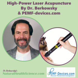 laser acupuncture webinar with dr bruce berkowsky nmd nd aromatherapist united states best