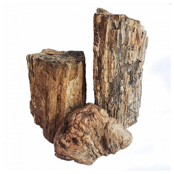 Scalar Petrified Wood